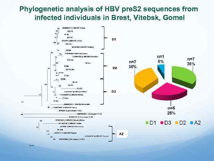 Phylogenetic analysis of HBV pre. S 2 sequences from infected individuals in Brest, Vitebsk,