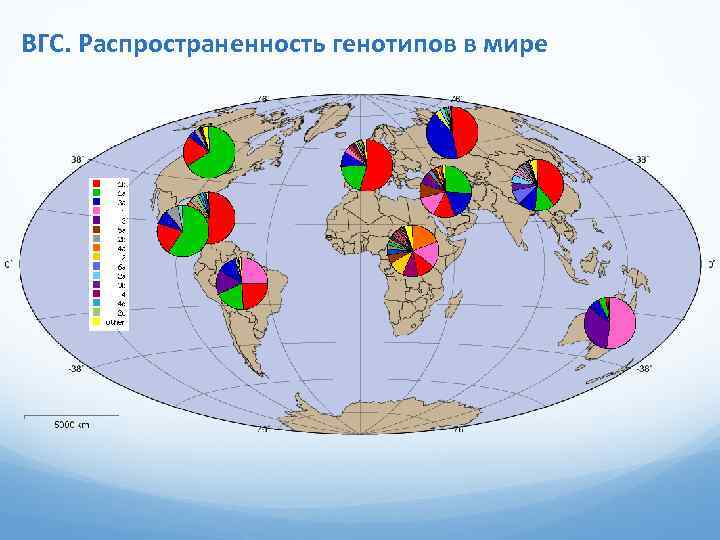 ВГС. Распространенность генотипов в мире 