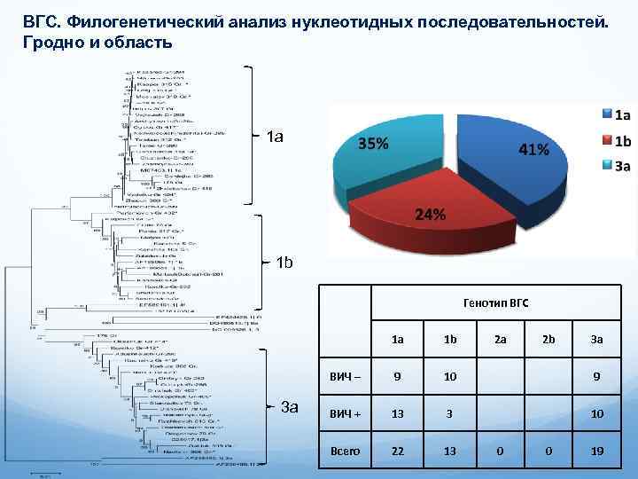 ВГС. Филогенетический анализ нуклеотидных последовательностей. Гродно и область 1 a 1 b Генотип ВГС