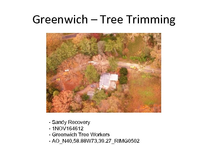 Greenwich – Tree Trimming - Sandy Recovery - 1 NOV 164612 - Greenwich Tree