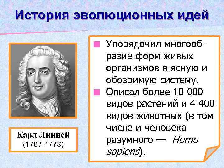 История эволюционных идей Упорядочил многообразие форм живых организмов в ясную и обозримую систему. ¢