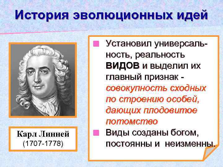 История эволюционных идей Установил универсальность, реальность ВИДОВ и выделил их главный признак совокупность сходных