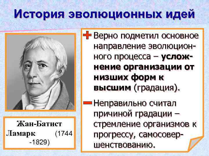 История эволюционных идей Верно подметил основное направление эволюционного процесса – усложнение организации от низших