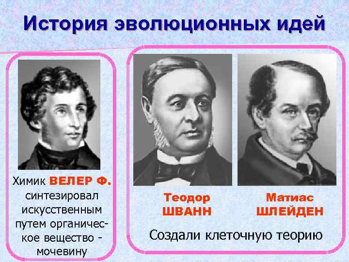 История эволюционных идей Химик ВЕЛЕР Ф. синтезировал искусственным путем органическое вещество мочевину Теодор ШВАНН