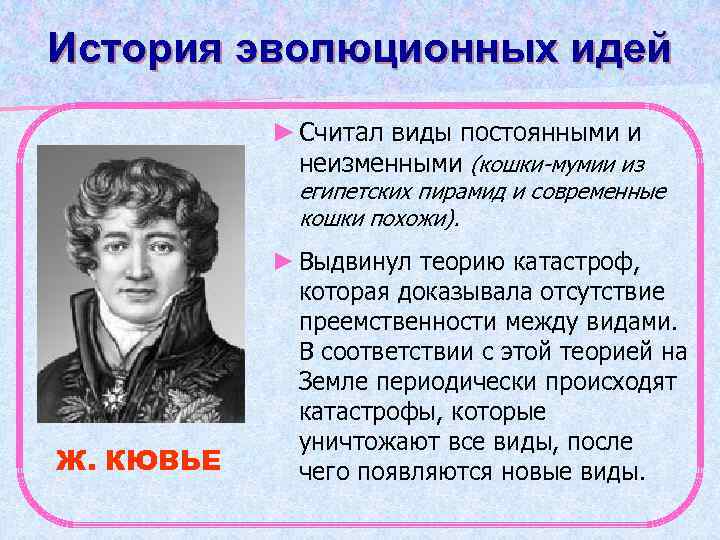 История эволюционных идей ► Считал виды постоянными и неизменными (кошки-мумии из египетских пирамид и