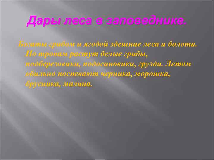 Дары леса в заповеднике. Богаты грибом и ягодой здешние леса и болота. По тропам