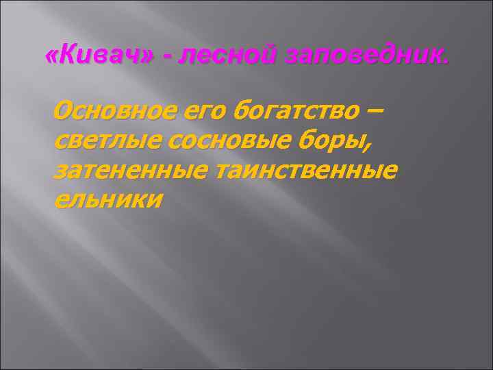  «Кивач» - лесной заповедник. Основное его богатство – светлые сосновые боры, затененные таинственные