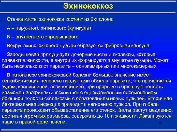 Эхинококкоз Стенка кисты эхинококка состоит из 2 -х слоев: А – наружного хитинового (кутикула)