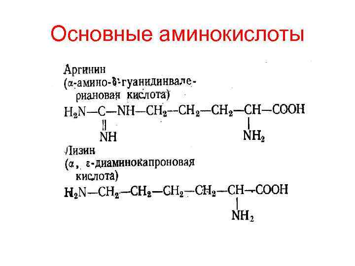 Основные аминокислоты 