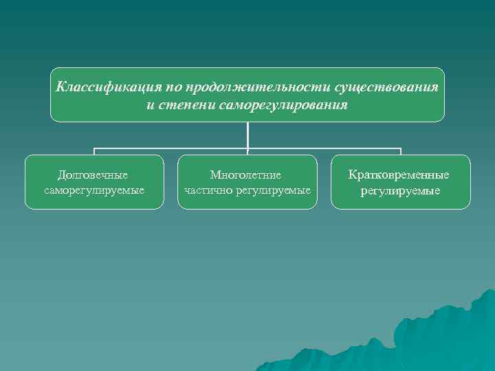 Классификация по продолжительности существования и степени саморегулирования Долговечные саморегулируемые Многолетние частично регулируемые Кратковременные регулируемые
