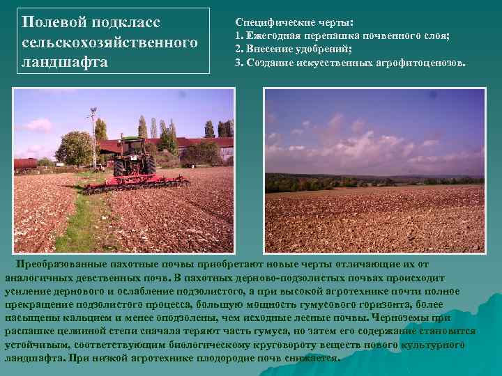 Полевой подкласс сельскохозяйственного ландшафта Специфические черты: 1. Ежегодная перепашка почвенного слоя; 2. Внесение удобрений;