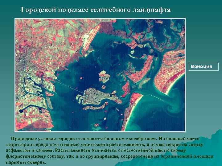 Городской подкласс селитебного ландшафта Венеция Природные условия городов отличаются большим своеобразием. На большей части
