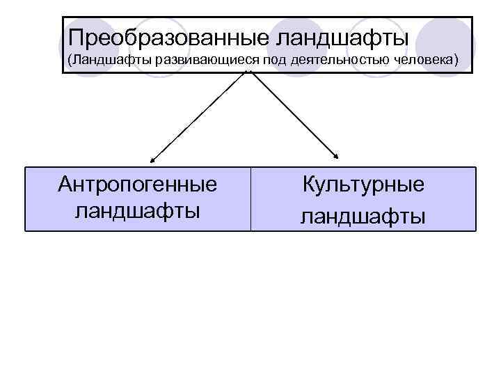 Преобразованные ландшафты (Ландшафты развивающиеся под деятельностью человека) Антропогенные ландшафты Культурные ландшафты 