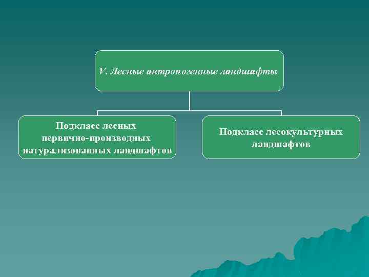 V. Лесные антропогенные ландшафты Подкласс лесных первично-производных натурализованных ландшафтов Подкласс лесокультурных ландшафтов 
