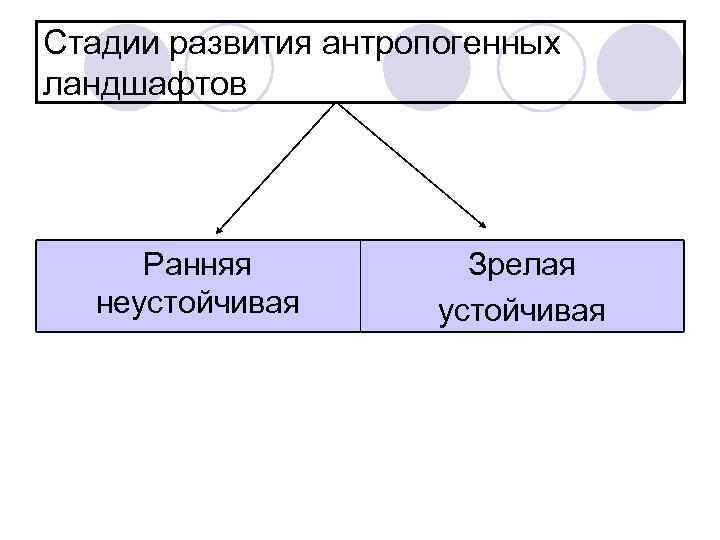 Стадии развития антропогенных ландшафтов Ранняя неустойчивая Зрелая устойчивая 