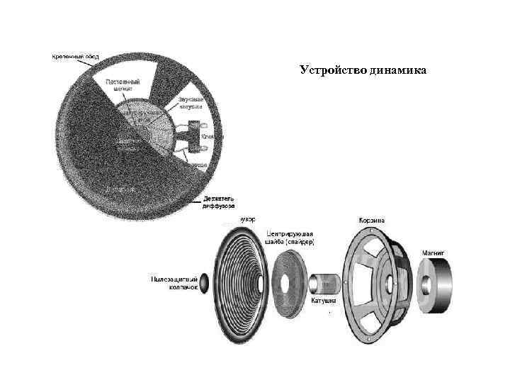 Устройство динамика 