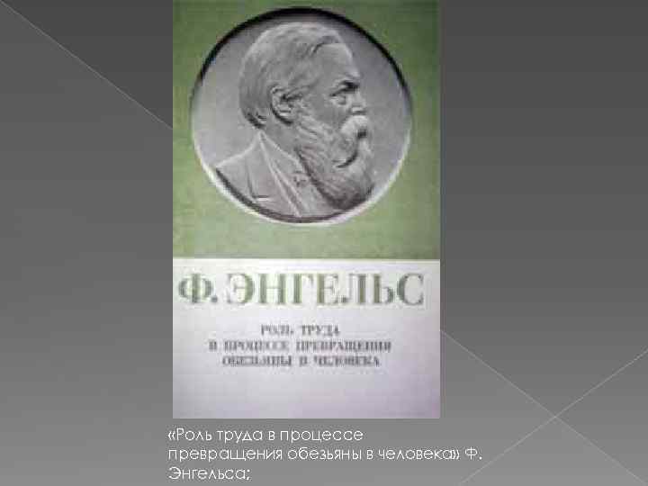  «Роль труда в процессе превращения обезьяны в человека» Ф. Энгельса; 