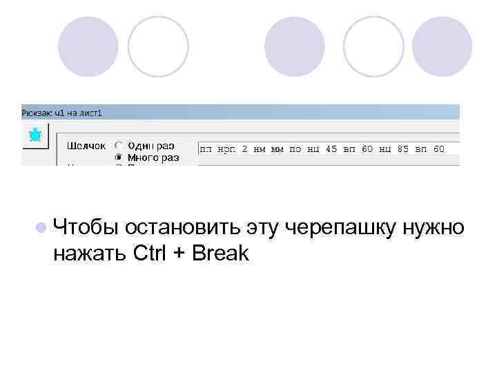 l Чтобы остановить эту черепашку нужно нажать Ctrl + Break 