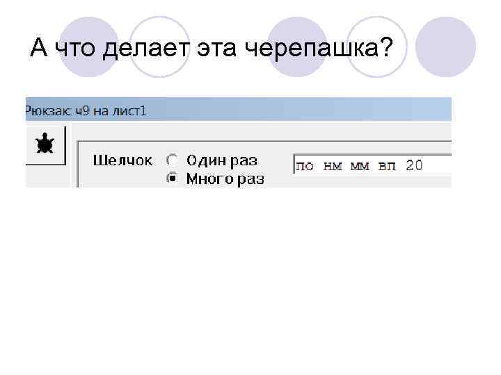 А что делает эта черепашка? 