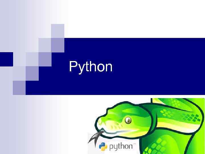Python 