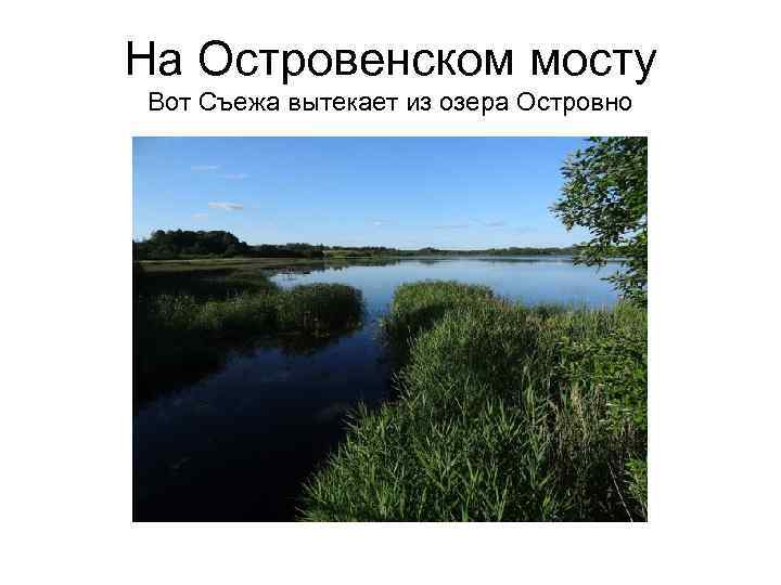 На Островенском мосту Вот Съежа вытекает из озера Островно 