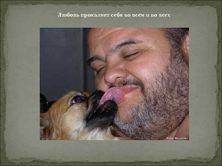 Любовь проявляет себя во всем и во всех 