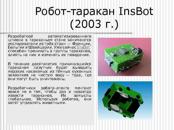 Робот таракан Ins. Bot (2003 г. ) Разработкой автоматизированного шпиона в тараканьем стане занимаются