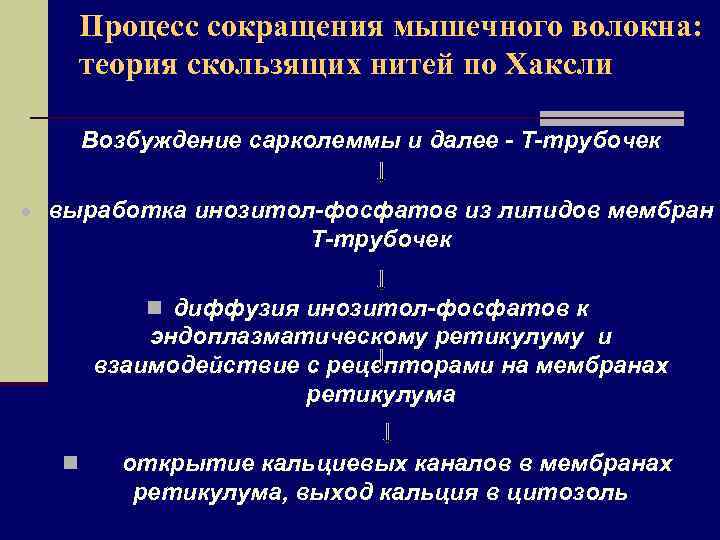 Процесс сокращения мышечного волокна: теория скользящих нитей по Хаксли Возбуждение сарколеммы и далее -