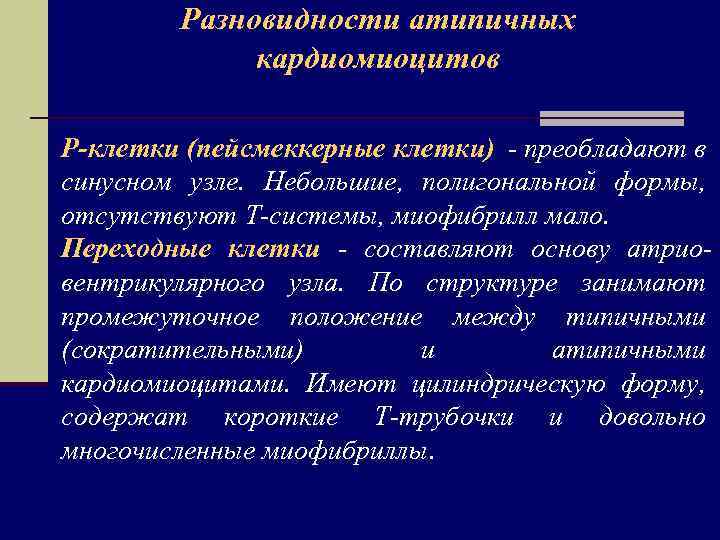 Разновидности атипичных кардиомиоцитов Р-клетки (пейсмеккерные клетки) - преобладают в синусном узле. Небольшие, полигональной формы,