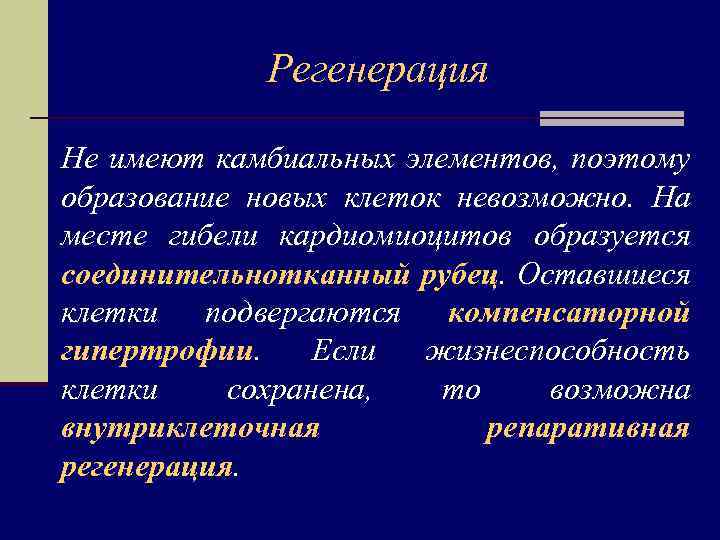 Регенерация Не имеют камбиальных элементов, поэтому образование новых клеток невозможно. На месте гибели кардиомиоцитов