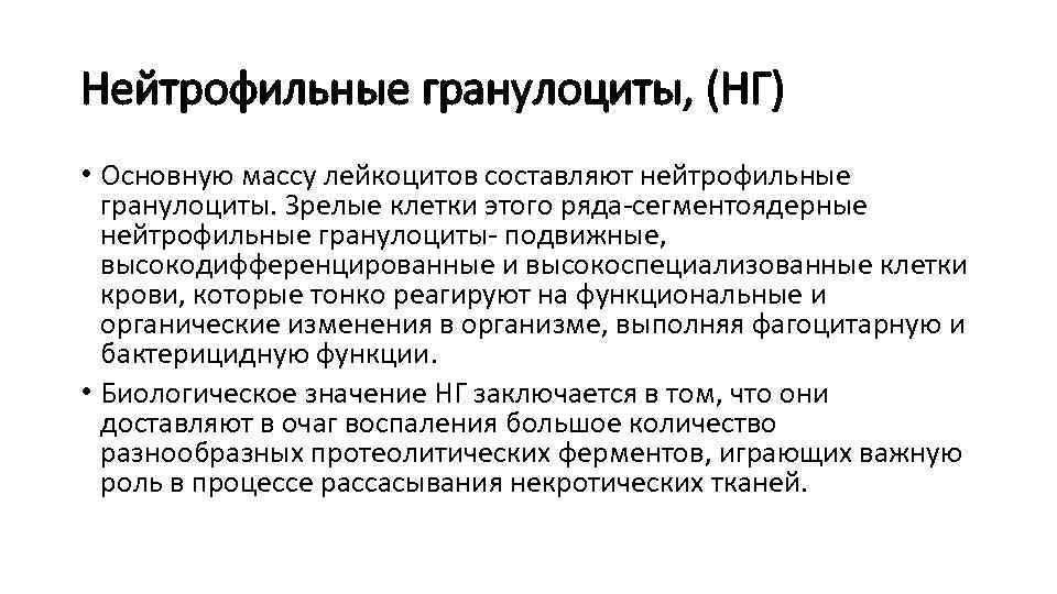 Нейтрофильные гранулоциты, (НГ) • Основную массу лейкоцитов составляют нейтрофильные гранулоциты. Зрелые клетки этого ряда-сегментоядерные