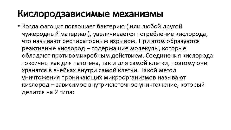 Кислородзависимые механизмы • Когда фагоцит поглощает бактерию ( или любой другой чужеродный материал), увеличивается