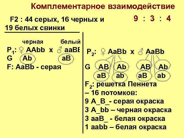 Комплементарное взаимодействие 9 : 3 : 4 F 2 : 44 серых, 16 черных