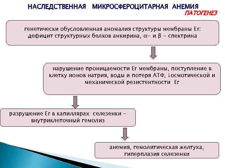 НАСЛЕДСТВЕННАЯ МИКРОСФЕРОЦИТАРНАЯ АНЕМИЯ ПАТОГЕНЕЗ генетически обусловленная аномалия структуры мембраны Er: дефицит структурных белков анкирина,