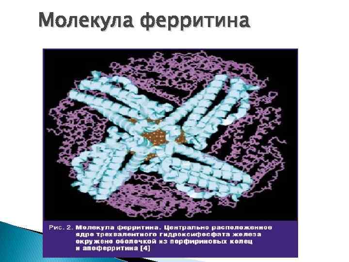 Сывороточный ферритин