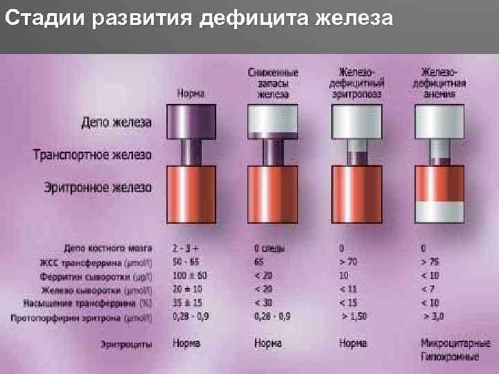 Стадии развития дефицита железа 