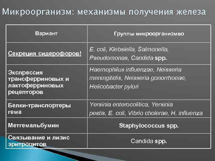 Микроорганизм: механизмы получения железа Вариант Секреция сидерофоров! Экспрессия трансферриновых и лактоферриновых рецепторов Белки-транспортеры гема