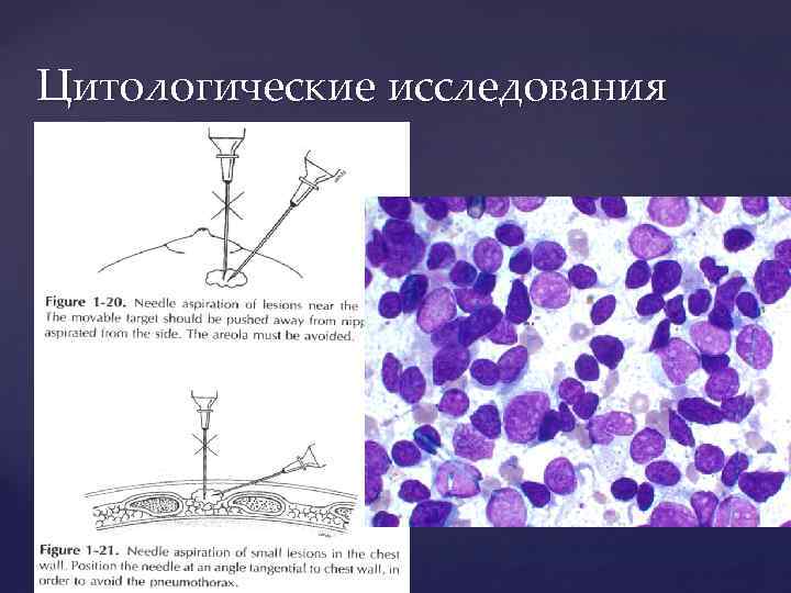 Цитологические исследования 