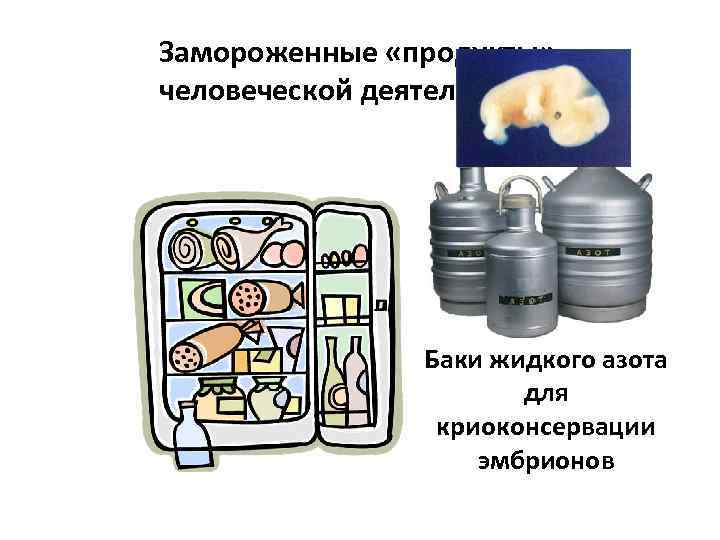 Замороженные «продукты» человеческой деятельности Баки жидкого азота для криоконсервации эмбрионов 