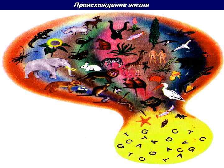 Происхождение жизни 