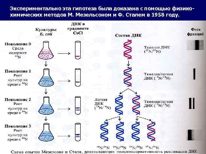 Мезельсон и сталь какие методы