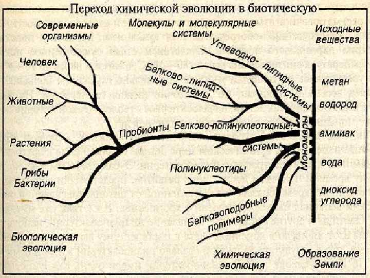 Основные этапы химической эволюции схема