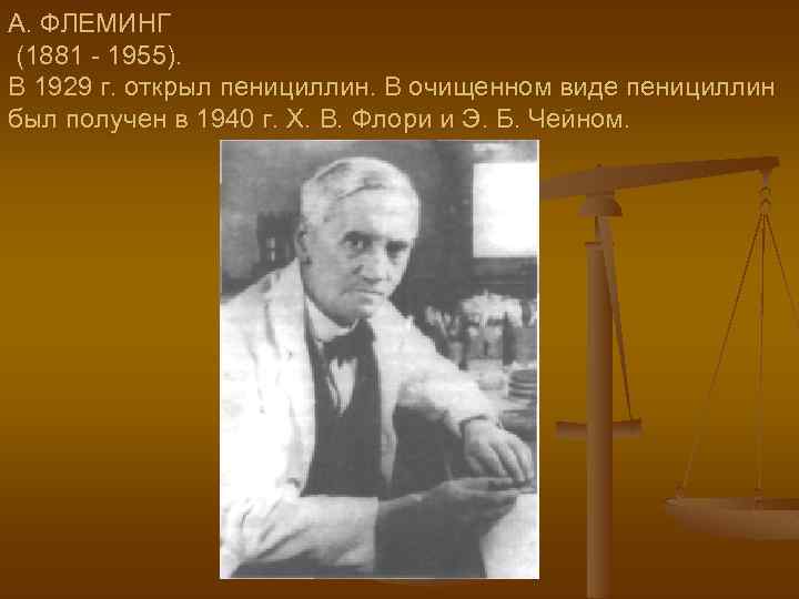 А. ФЛЕМИНГ (1881 - 1955). В 1929 г. открыл пенициллин. В очищенном виде пенициллин