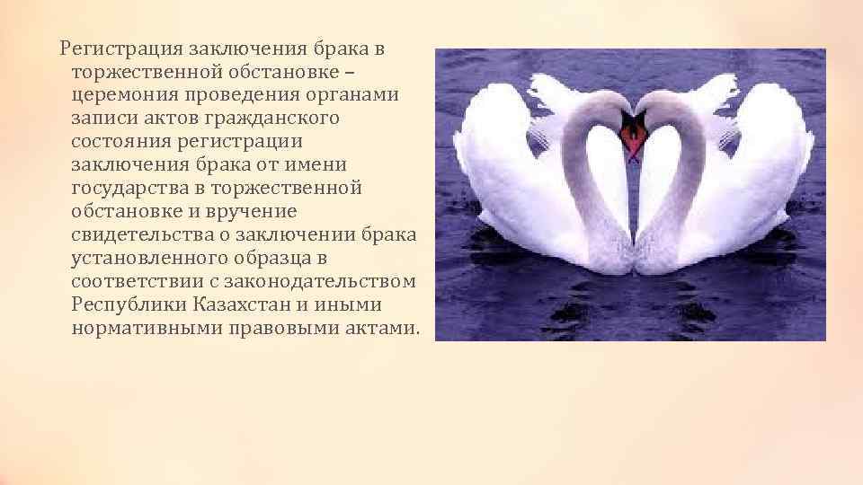  Регистрация заключения брака в торжественной обстановке – церемония проведения органами записи актов гражданского