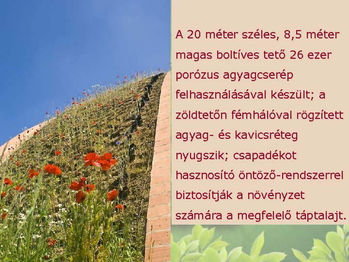 A 20 méter széles, 8, 5 méter magas boltíves tető 26 ezer porózus agyagcserép