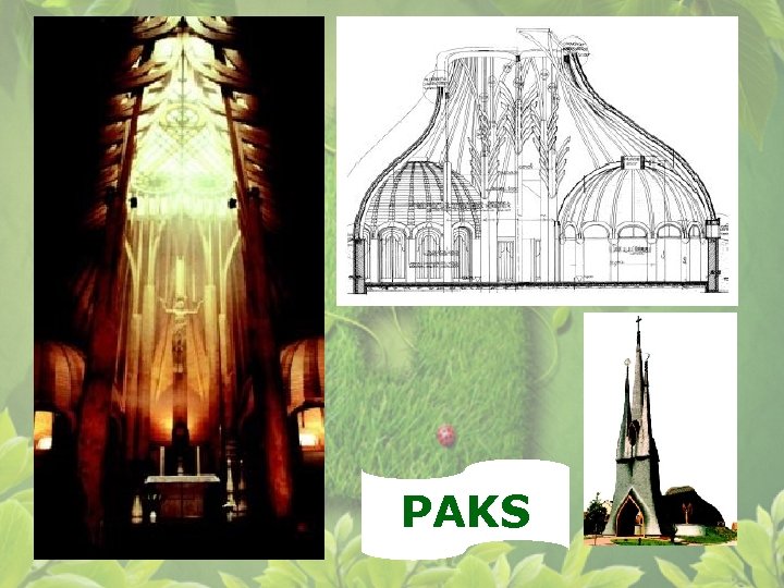 PAKS 