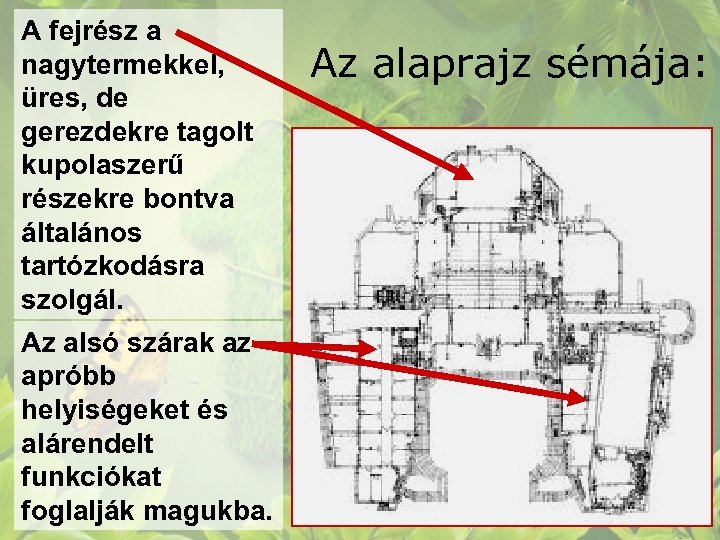 A fejrész a nagytermekkel, üres, de gerezdekre tagolt kupolaszerű részekre bontva általános tartózkodásra szolgál.