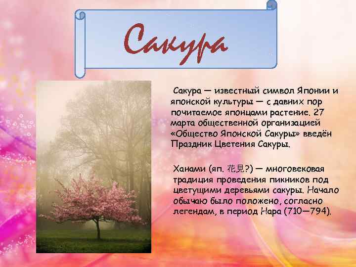 Сакура — известный символ Японии и японской культуры — с давних пор почитаемое японцами