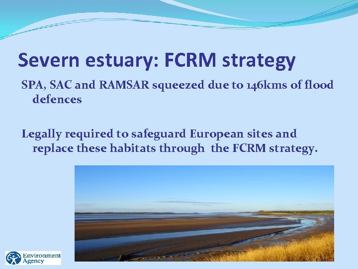 Severn estuary: FCRM strategy SPA, SAC and RAMSAR squeezed due to 146 kms of