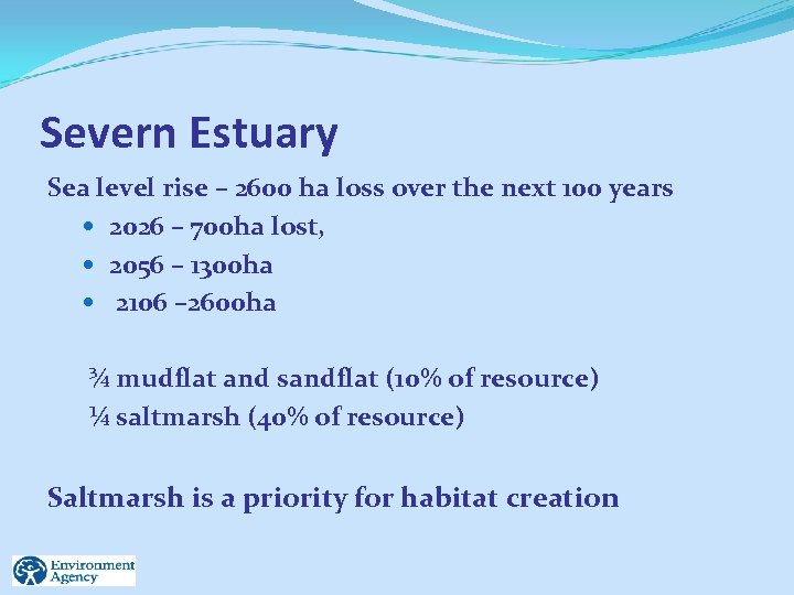 Severn Estuary Sea level rise – 2600 ha loss over the next 100 years